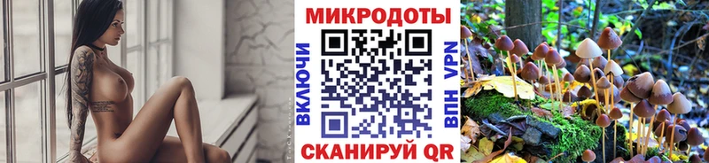 Псилоцибиновые грибы мухоморы  Плавск 